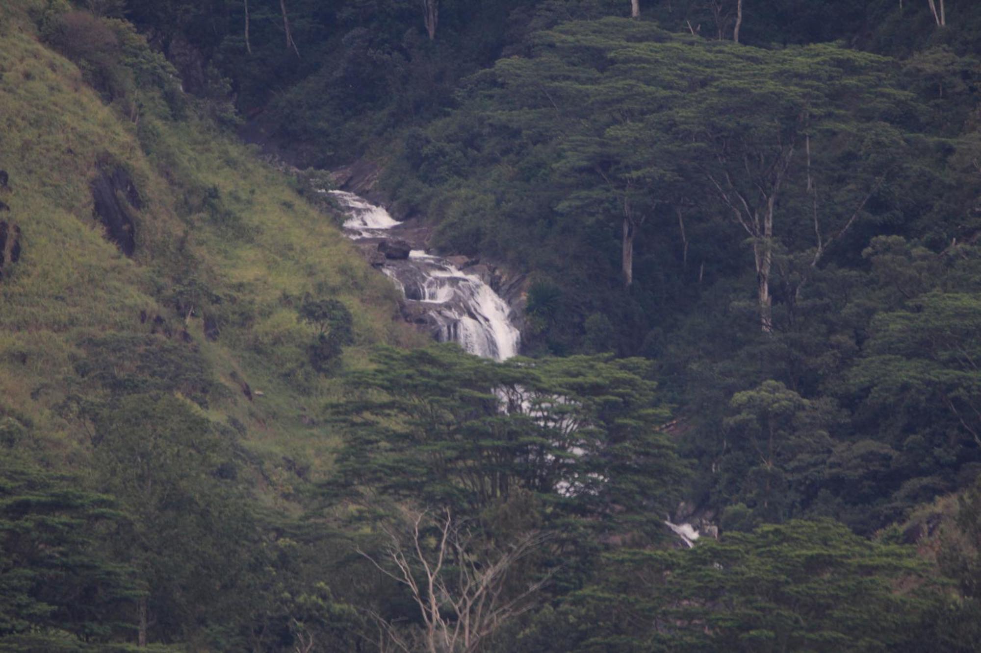 Rohana Estate Lodging & Camping Kandy Exterior photo